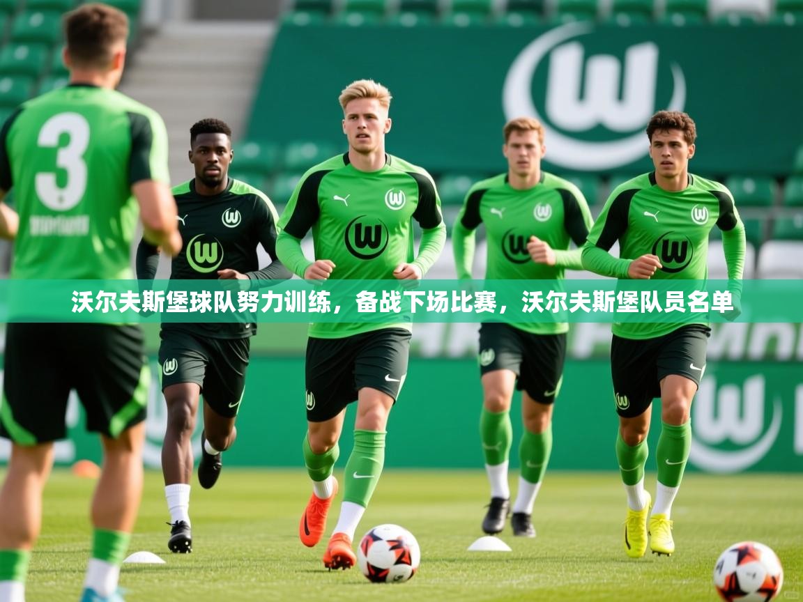 2025 欧宝体育新闻沃尔夫斯堡球队努力训练，备战下场比赛，沃尔夫斯堡队员名单  第2张