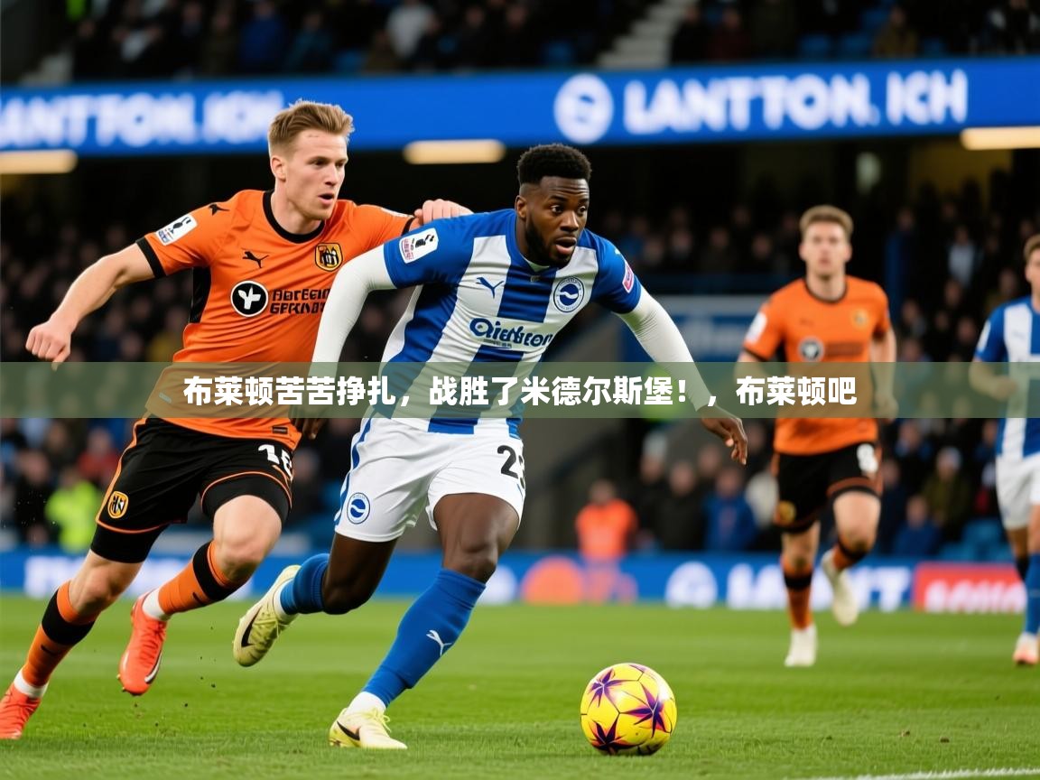 2025 欧宝体育新闻布莱顿苦苦挣扎，战胜了米德尔斯堡！，布莱顿吧  第2张