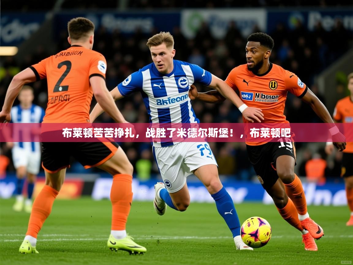 2025 欧宝体育新闻布莱顿苦苦挣扎，战胜了米德尔斯堡！，布莱顿吧  第3张