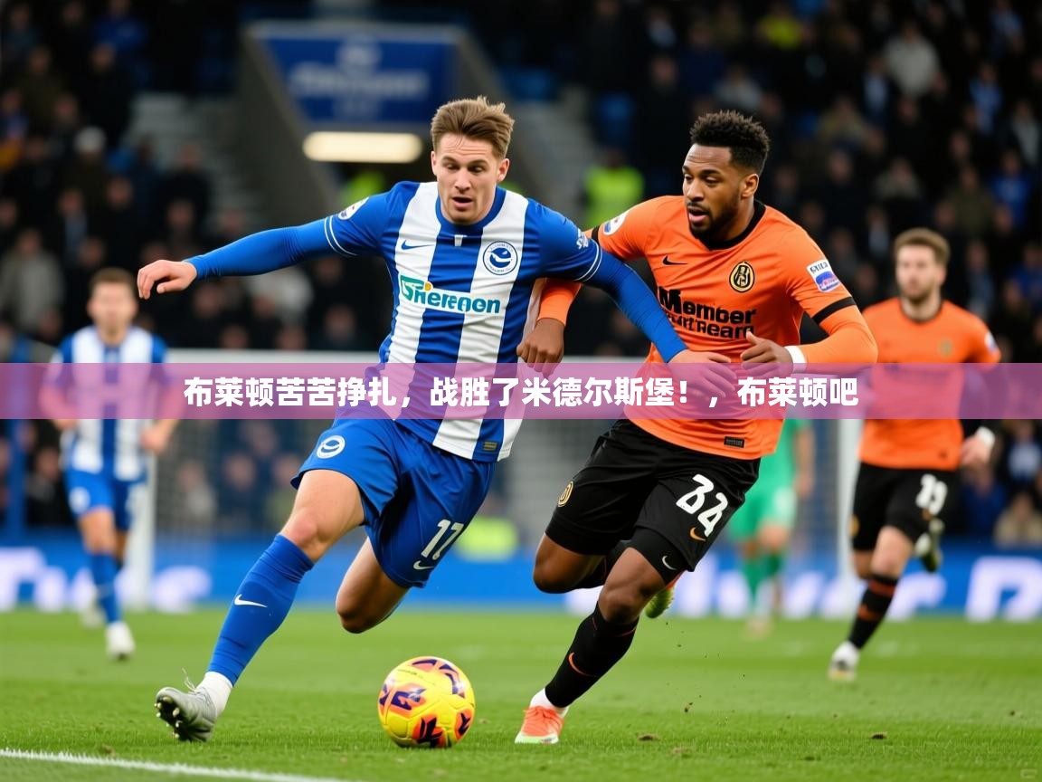2025 欧宝体育新闻布莱顿苦苦挣扎，战胜了米德尔斯堡！，布莱顿吧  第4张