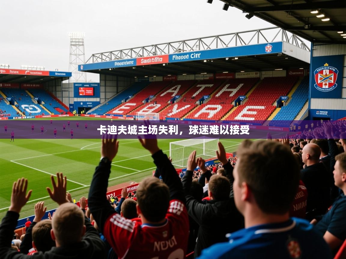 2026 欧宝体育平台优惠卡迪夫城主场失利，球迷难以接受  第2张