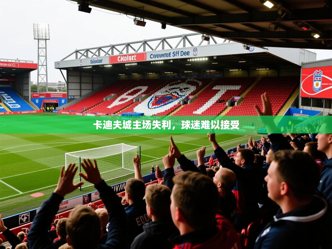 2026 欧宝体育平台优惠卡迪夫城主场失利，球迷难以接受  第3张
